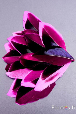 Pétales en plumes - 5-8 x 3-4 cm - fuchsia-noir